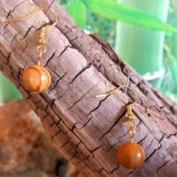 boucle d'oreille en pierre naturelle en bois fossilisé