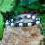 Bracelets Shamballa (Sélectionnez votre pierre)