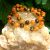 bracelet en pierre-naturelle aventurine orange et oeil de tigre