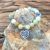 Bracelet en amazonite, perles de 8 mm, fait main