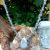 collier en pierre naturelle en labradorite